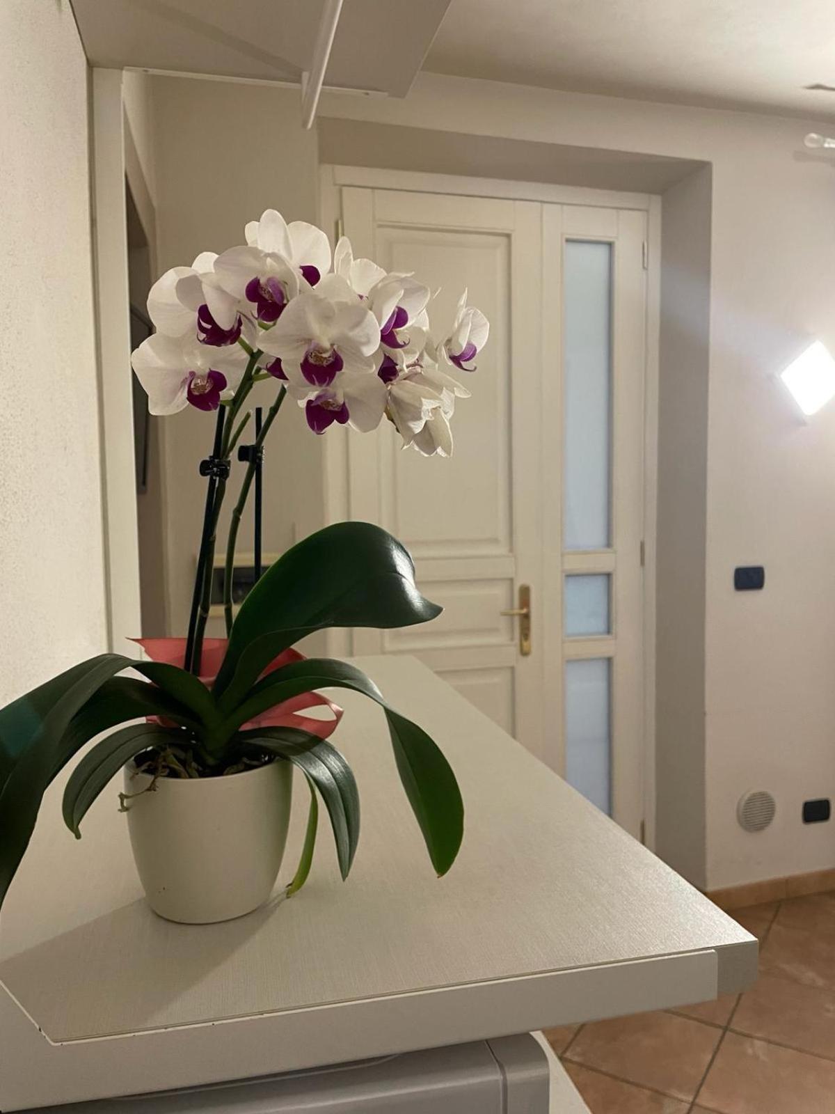 Asfodelo Rooms Bra Exterior photo
